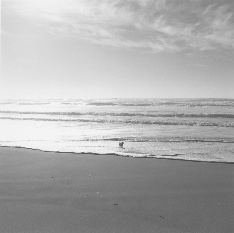 Untitled - Robert Adams 