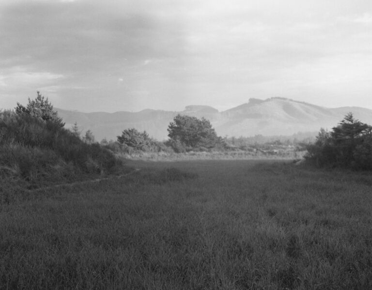 The Interior of the Spit - Robert Adams 