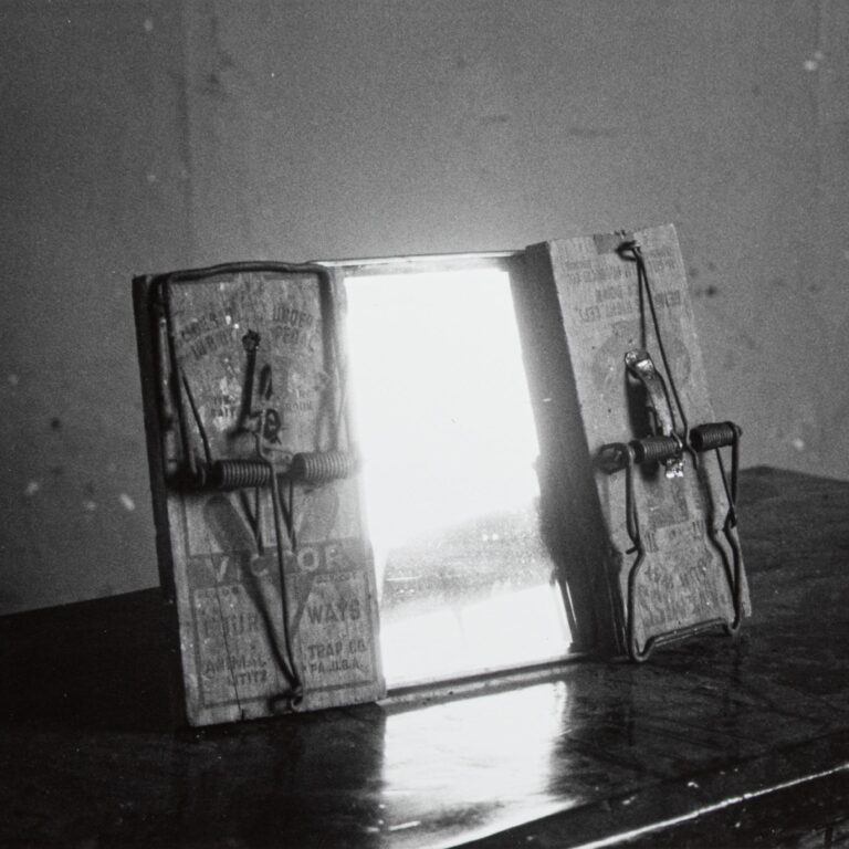 What We Have Seen - Robert Frank 