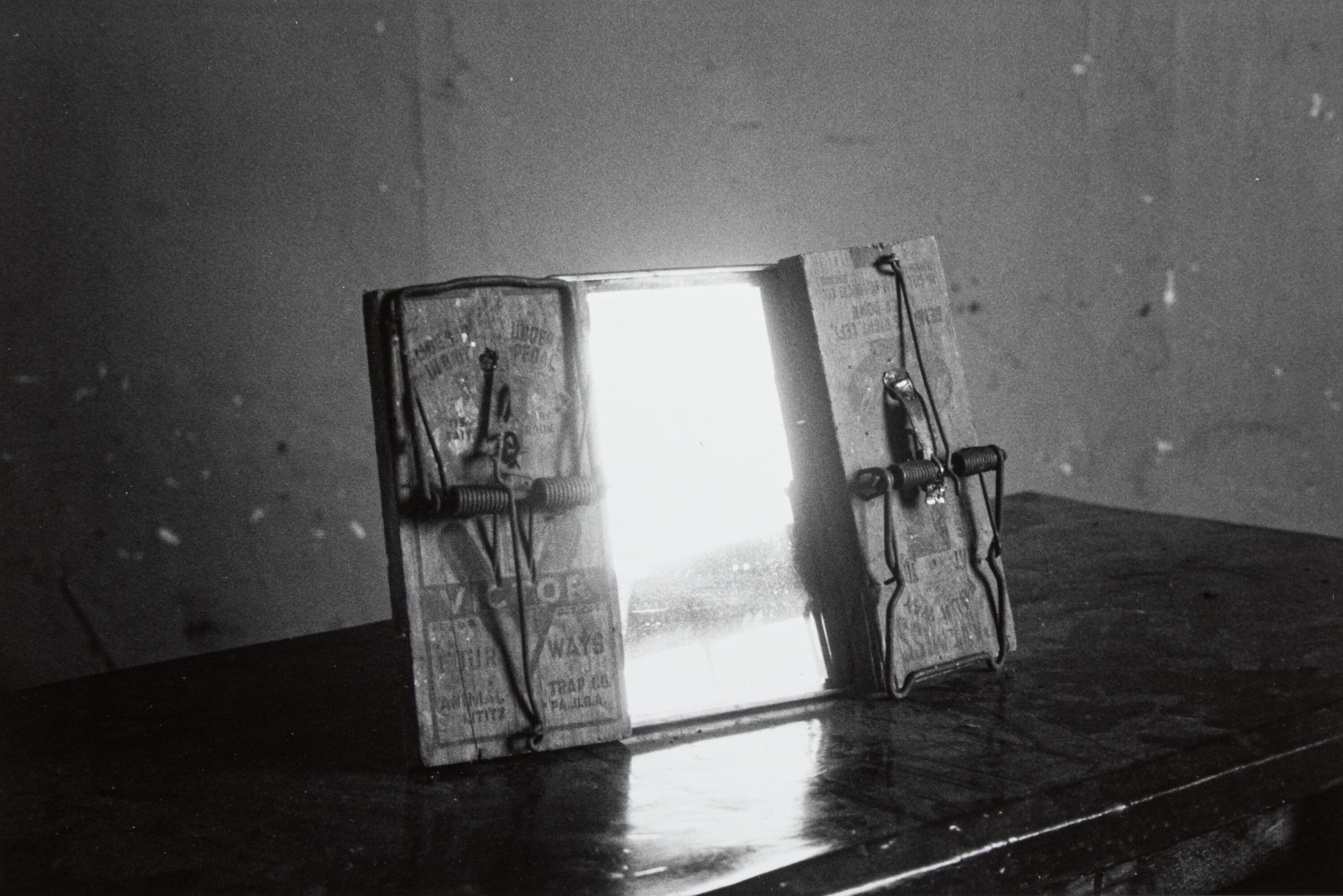 What We Have Seen - Robert Frank 
