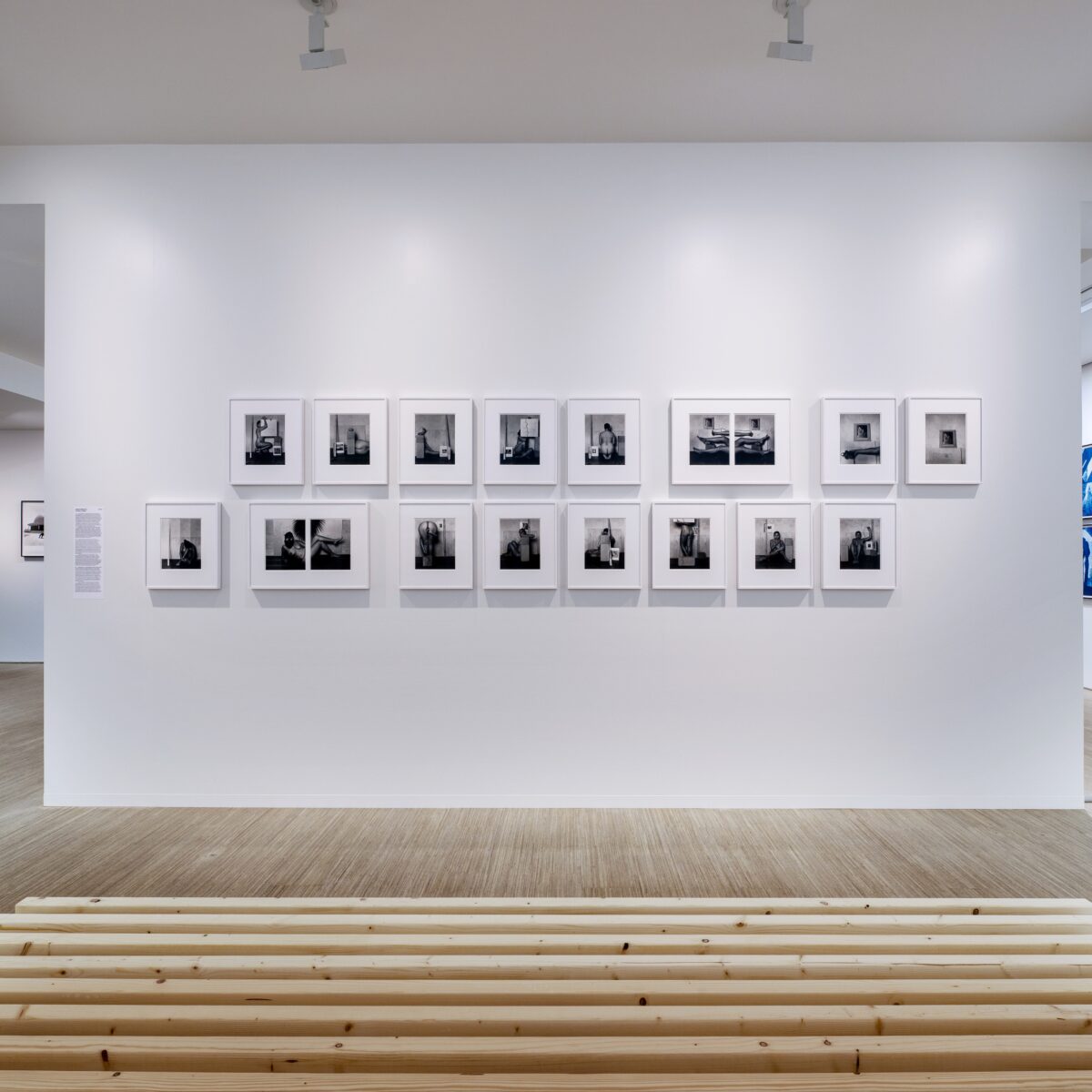 Tarrah Krajnak: RePose ExPose CounterPose 