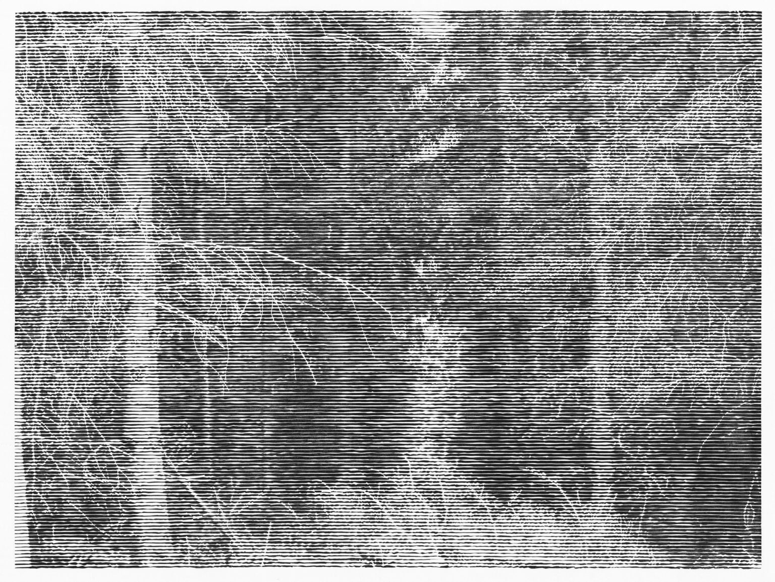 Wald bei Colditz VI - Christiane Baumgartner 