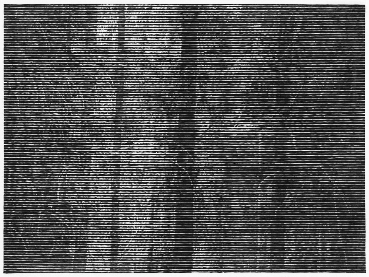 Wald bei Colditz II - Christiane Baumgartner 