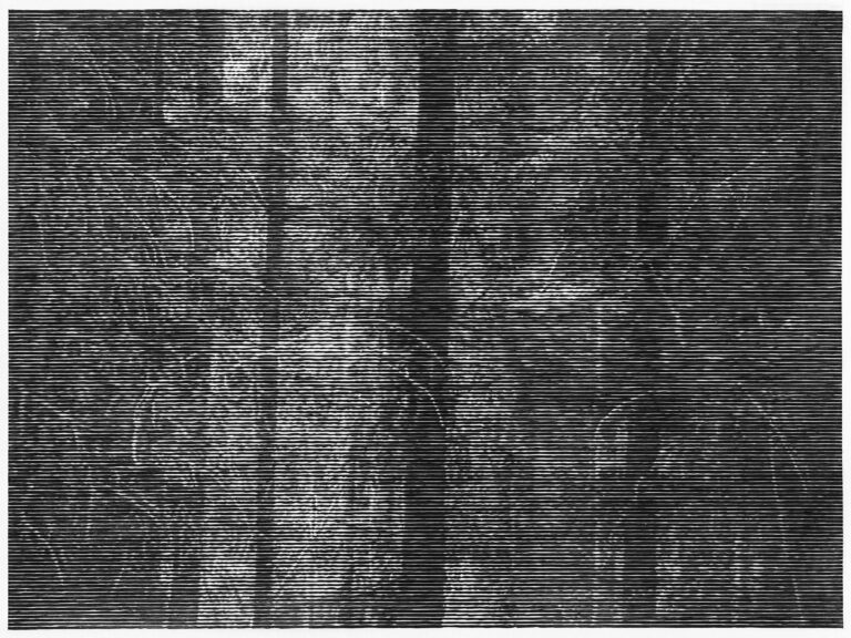 Wald bei Colditz II - Christiane Baumgartner 