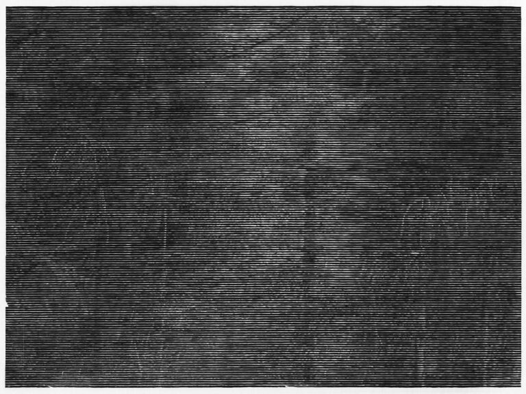 Wald bei Colditz III - Christiane Baumgartner 