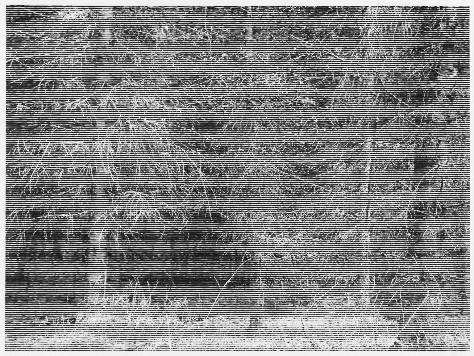 Wald bei Colditz IV - Christiane Baumgartner 