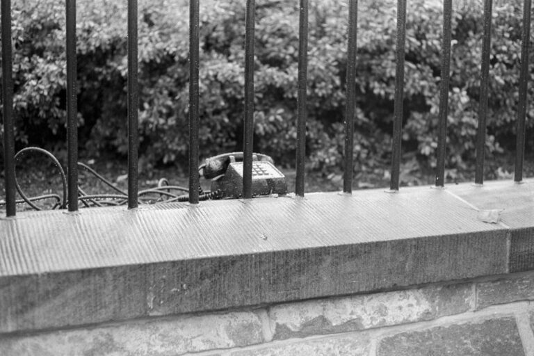 Phone, White House Lawn - Clark Winter 