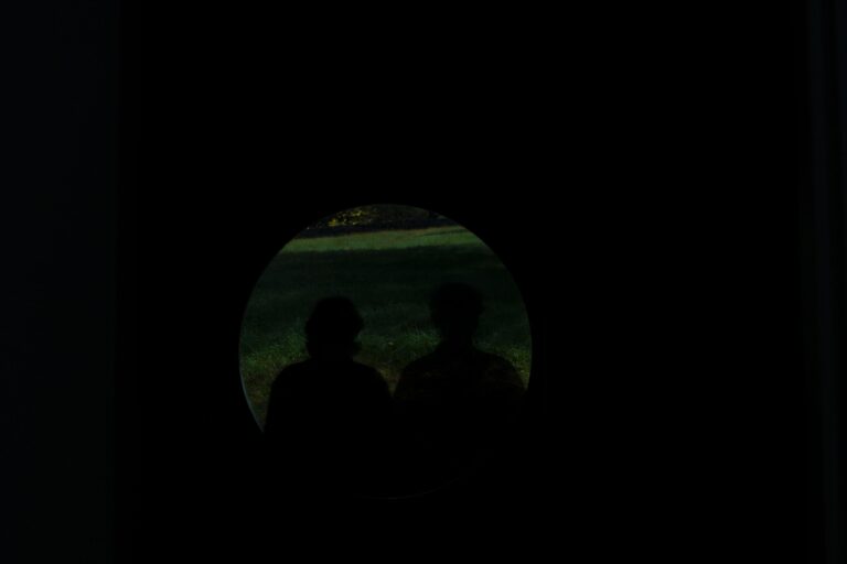 Together, Watching, Moonlight - Lake Verea 