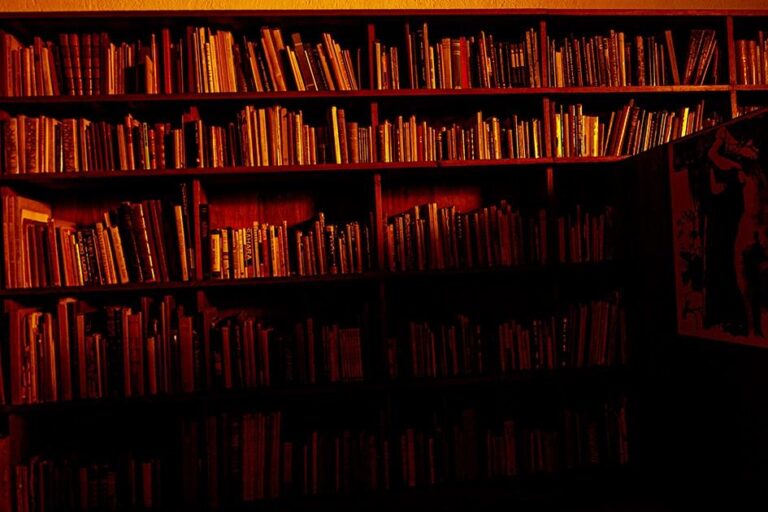Luis Barragán’s lifelong library - Lake Verea 
