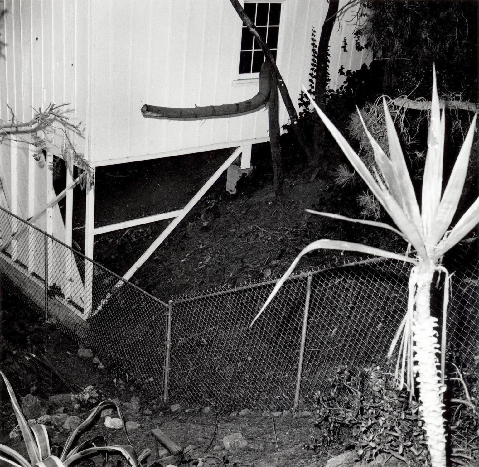 Untitled, from the series Evidence - Larry Sultan, Mike Mandel 