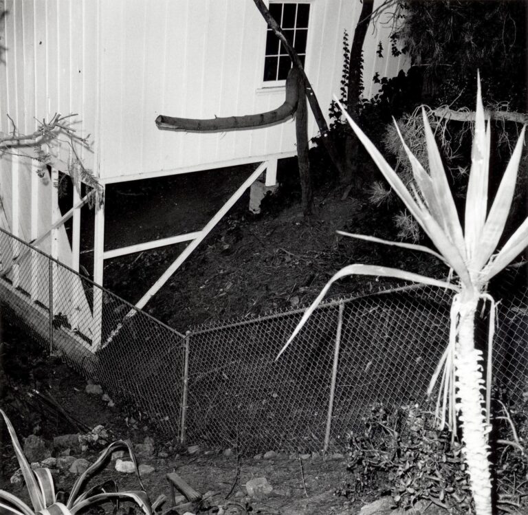Untitled, from the series Evidence - Larry Sultan, Mike Mandel 