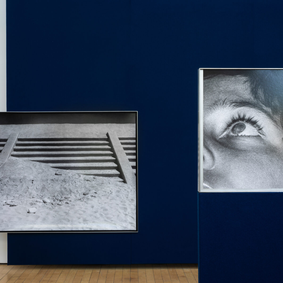 Joanna Piotrowska: A moment of darkness at noon. 