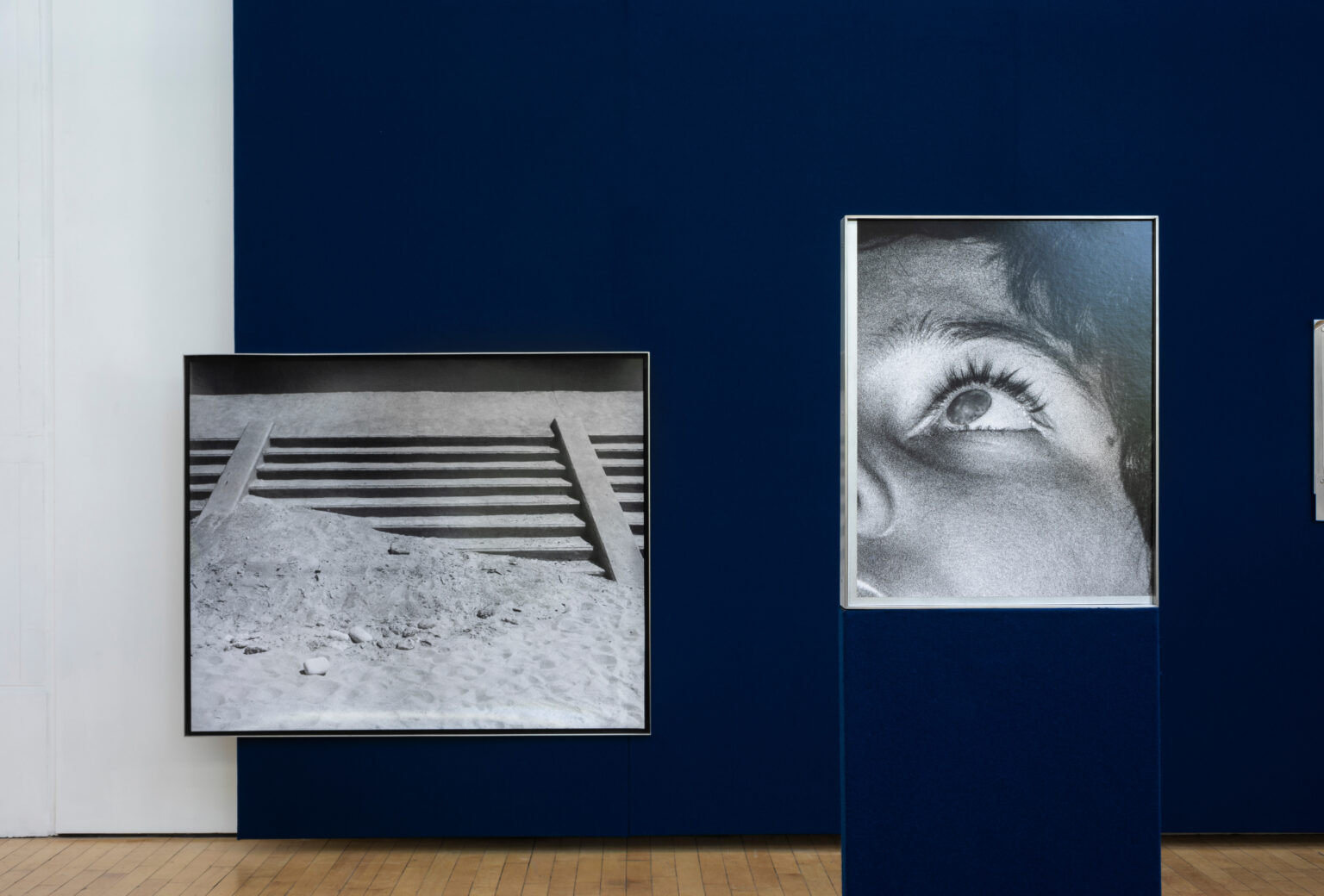 Joanna Piotrowska: A moment of darkness at noon. 