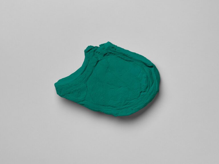 Kotelett - Katharina Fritsch 