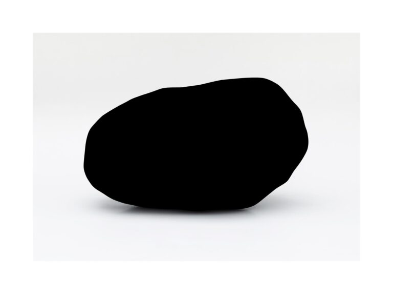 798-050 totes Kapital - Wilhelm Mundt 