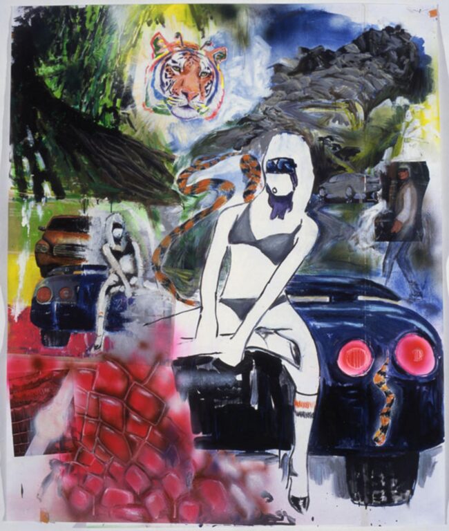 Go Tigers - Douglas Kolk 