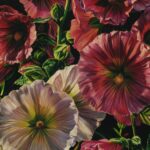 LR_P_358