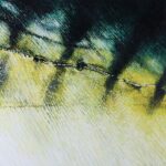 LR_P_417