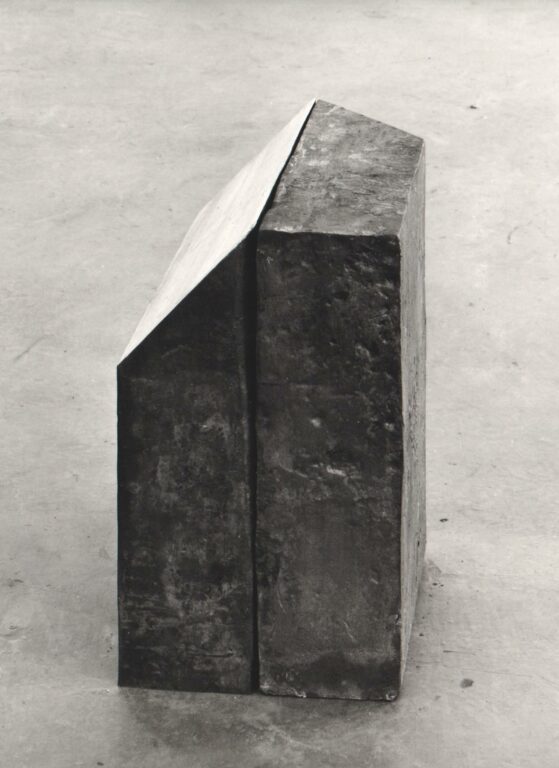 Geteilte Platte - Alf Lechner 