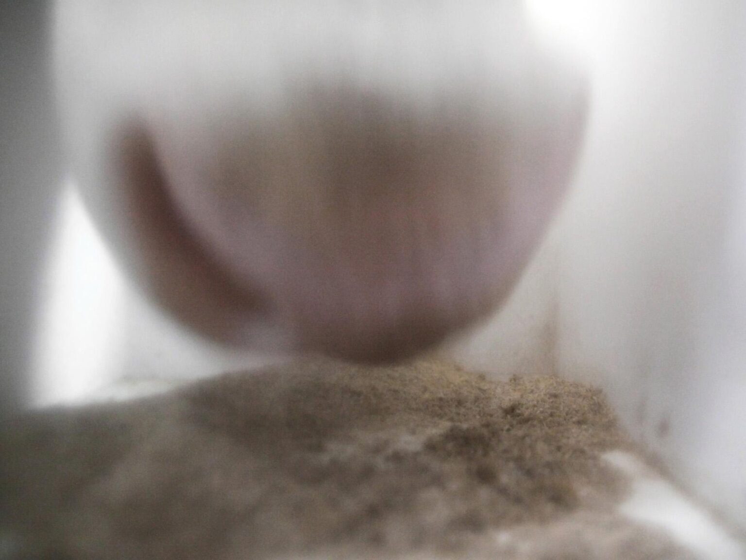 it&acute;s raining cats and dogs - zweintopf 