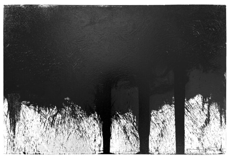 ohne Titel - HERMANN NITSCH 