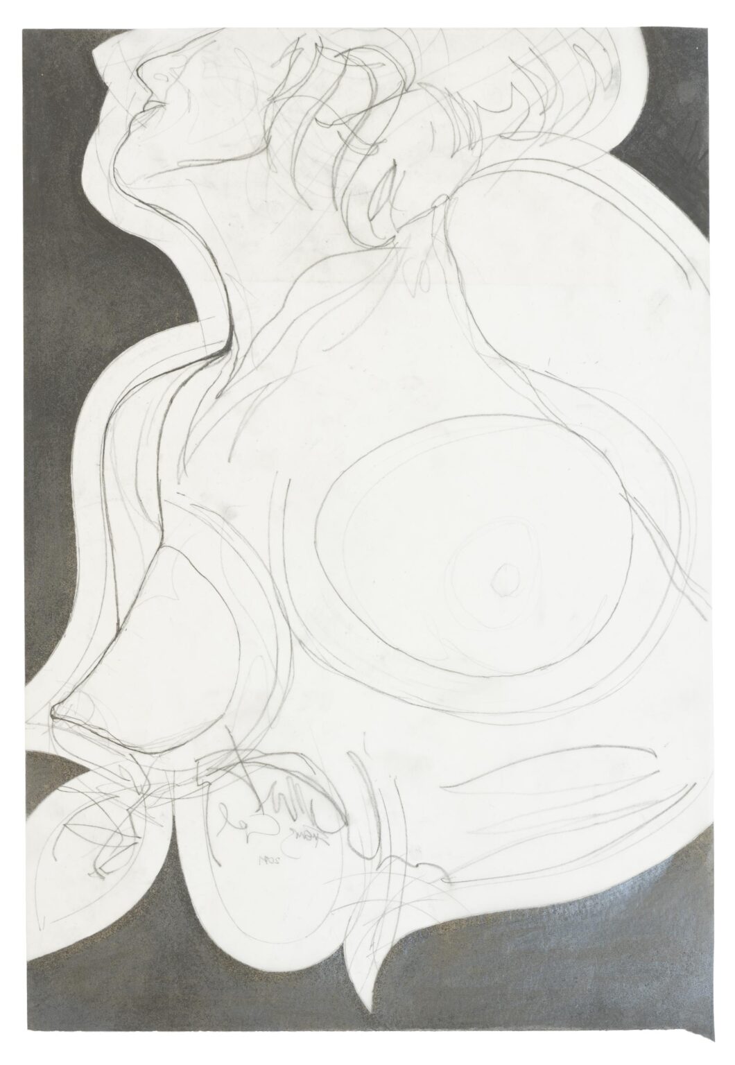 Burg ISS - FRANZ GRAF 