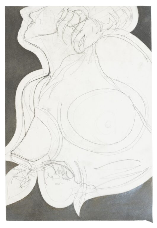 Burg ISS - FRANZ GRAF 