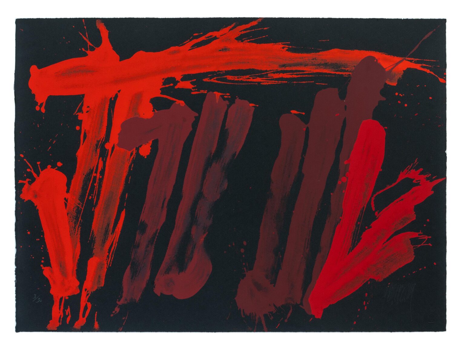 cinque terre - MARKUS PRACHENSKY 