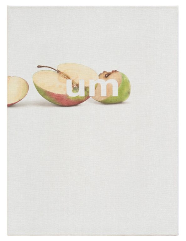 Schiff - ALFREDO BARSUGLIA 