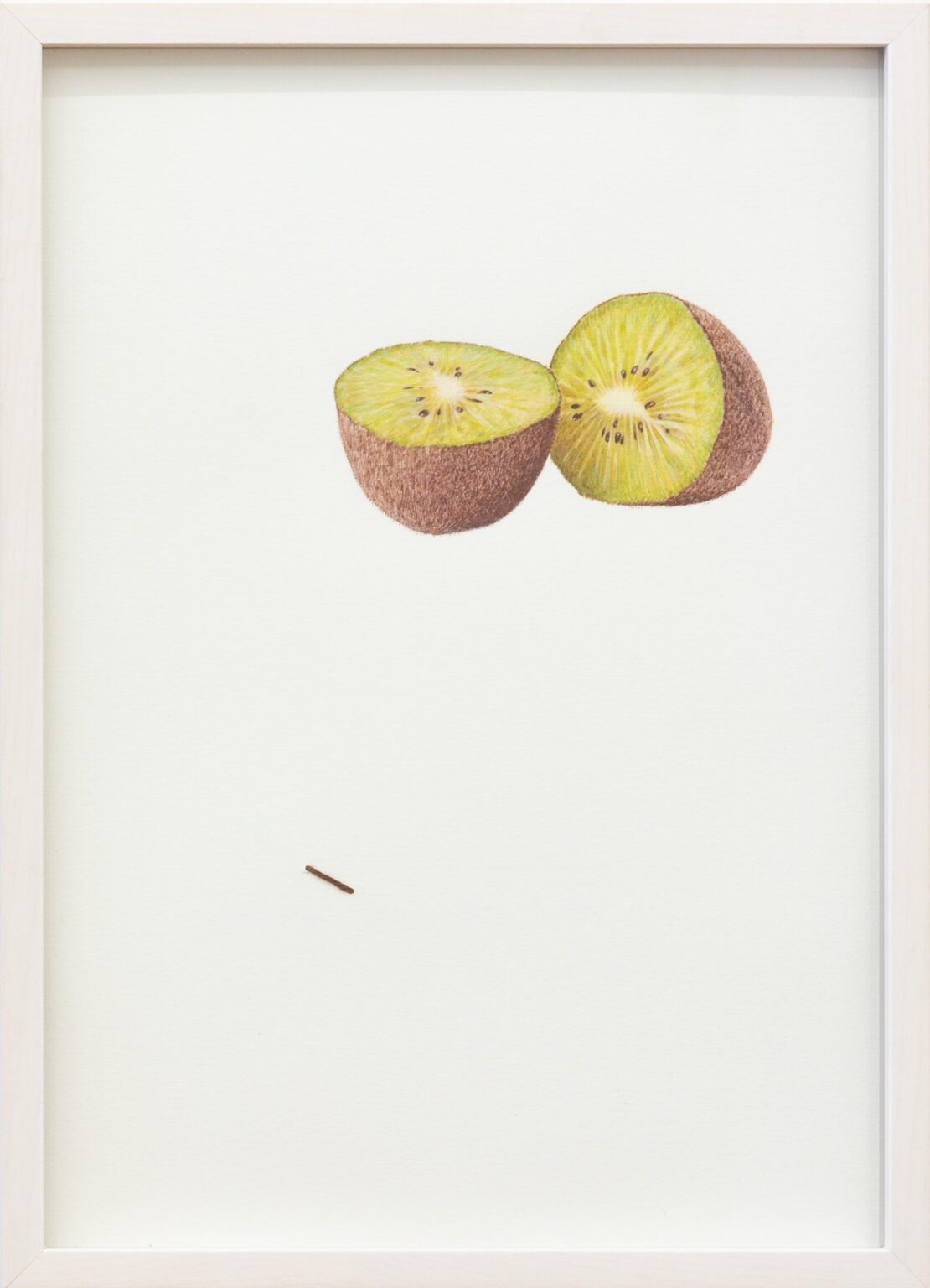 Juni - ALFREDO BARSUGLIA 