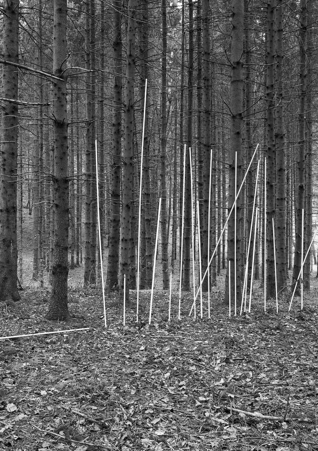 im Geh&ouml;lz gefriert ein Strahl (15) - zweintopf 