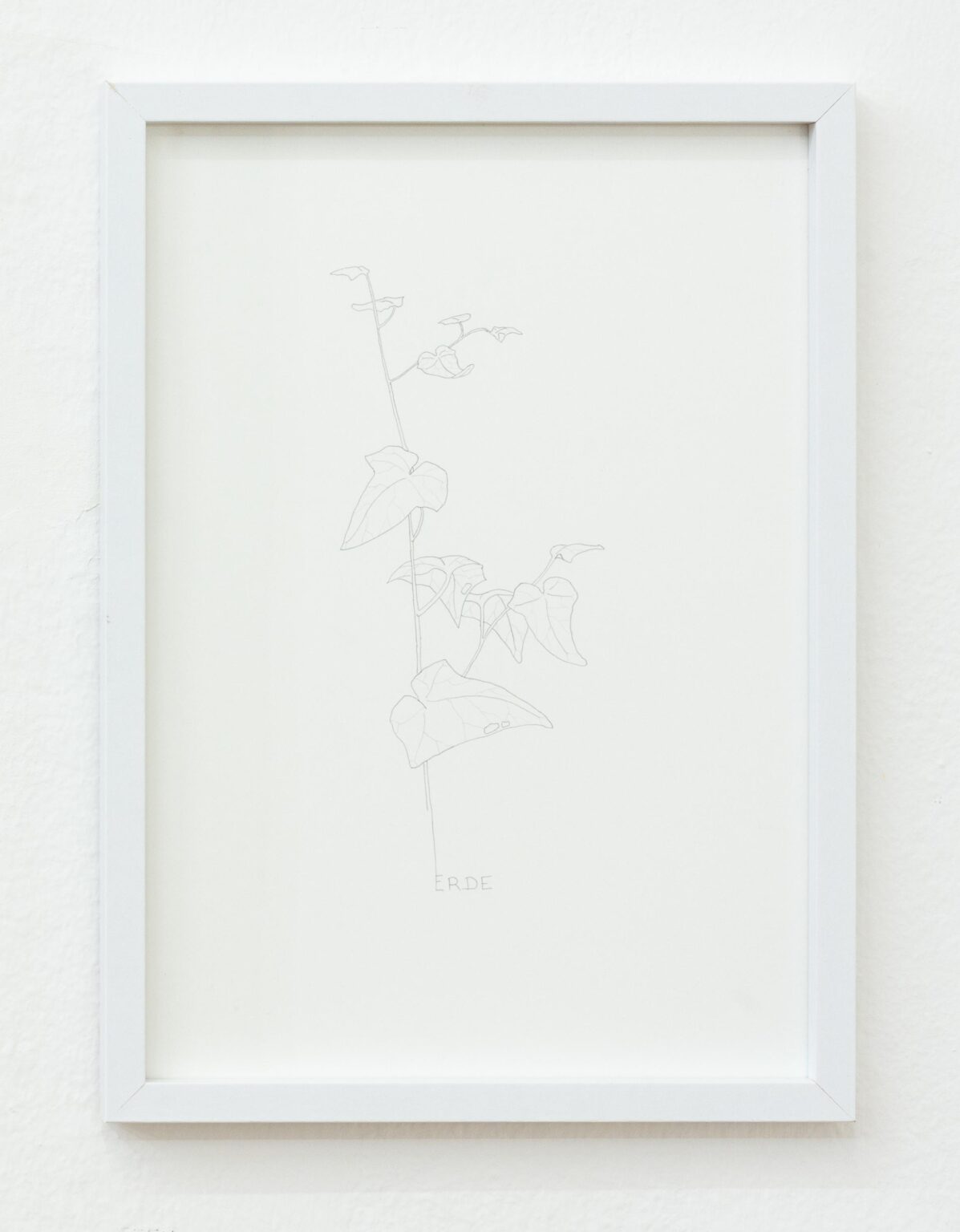 ERDE - ALFREDO BARSUGLIA 