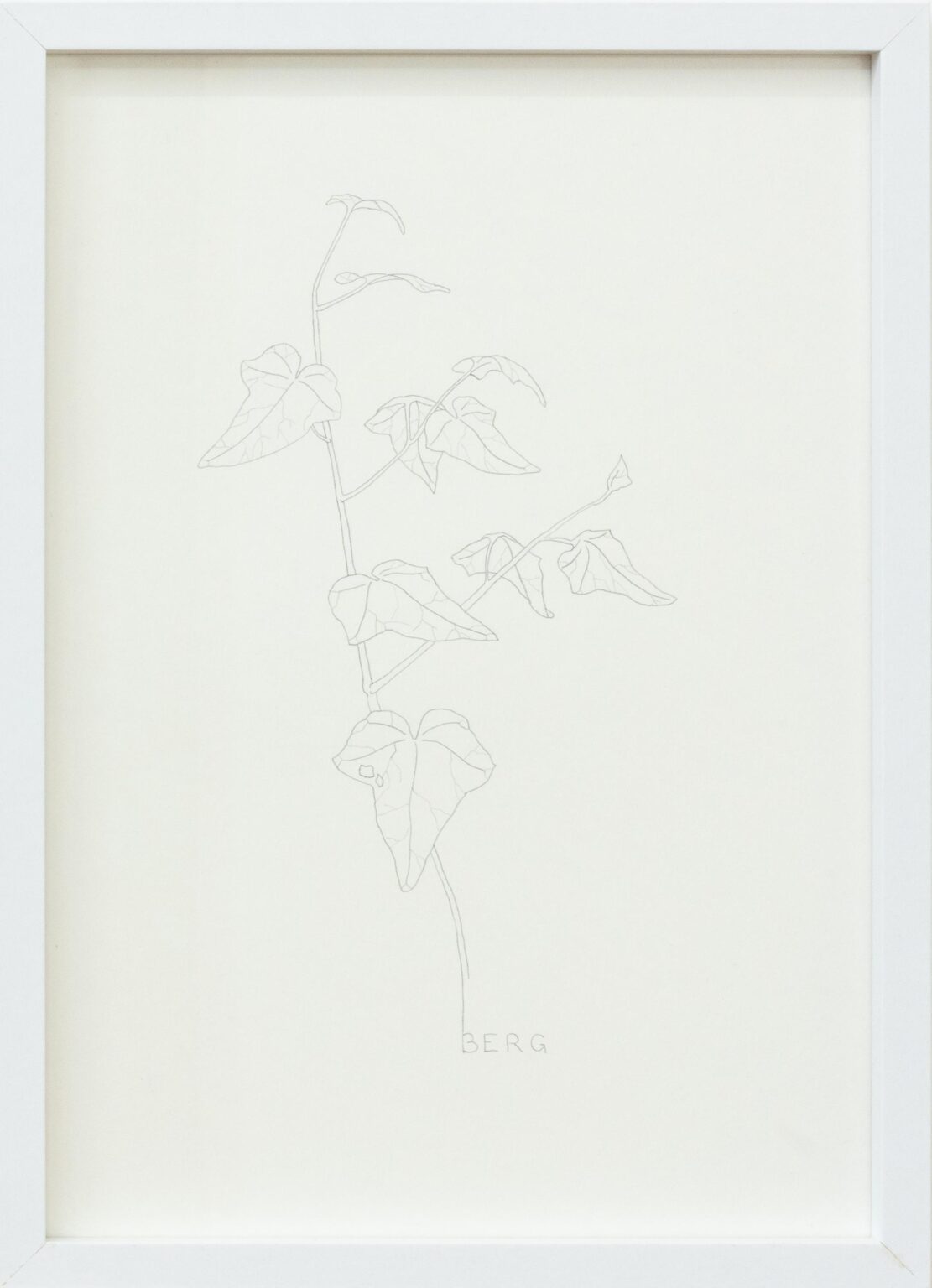 BERG - ALFREDO BARSUGLIA 