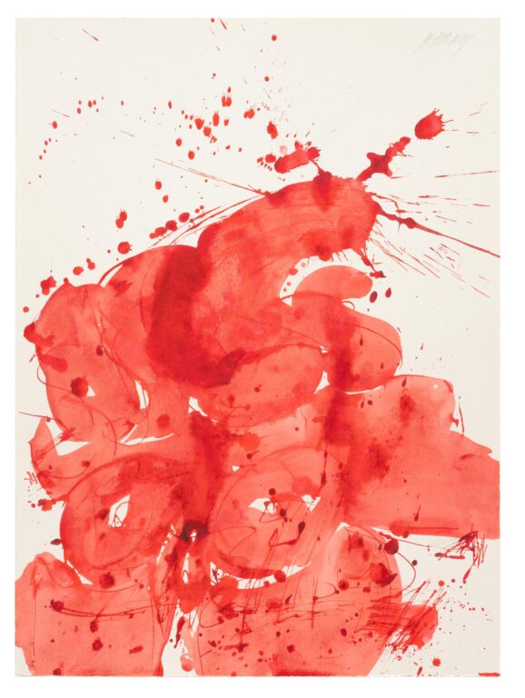 Jalisco - MARKUS PRACHENSKY 