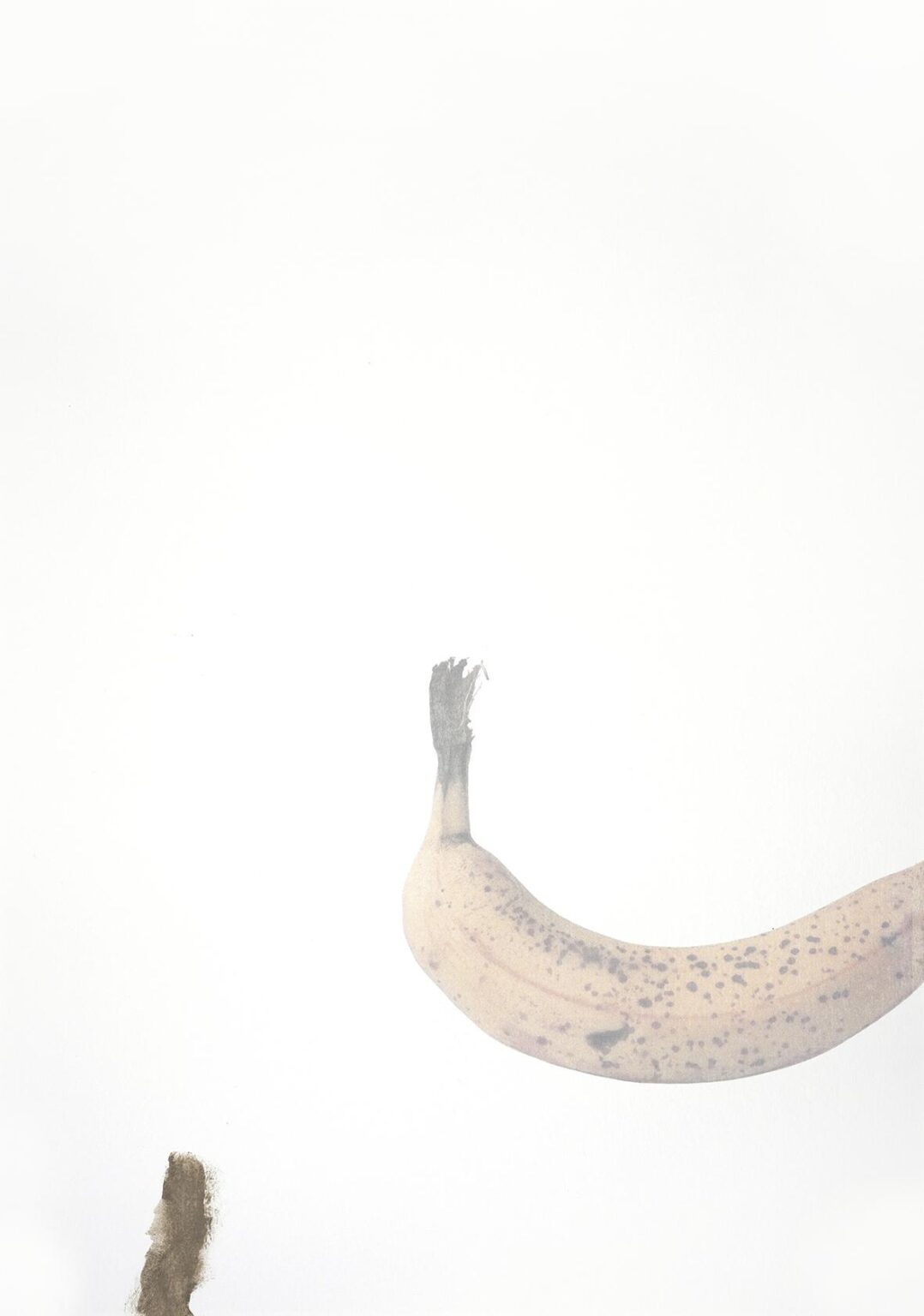 WHOOPS - ALFREDO BARSUGLIA 