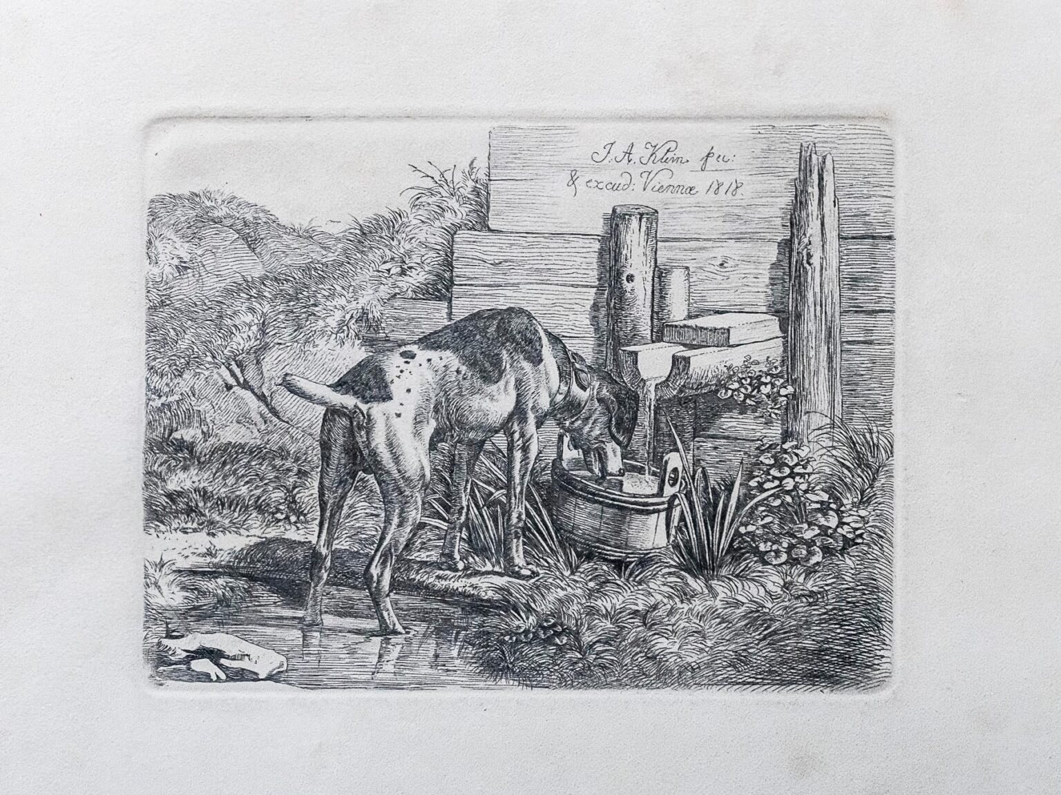 Hund, an einem Brunnen trinkend - Johann Adam Klein 