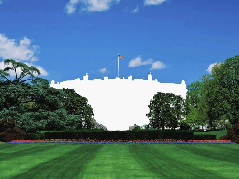 White house - PETER MOOSGAARD 