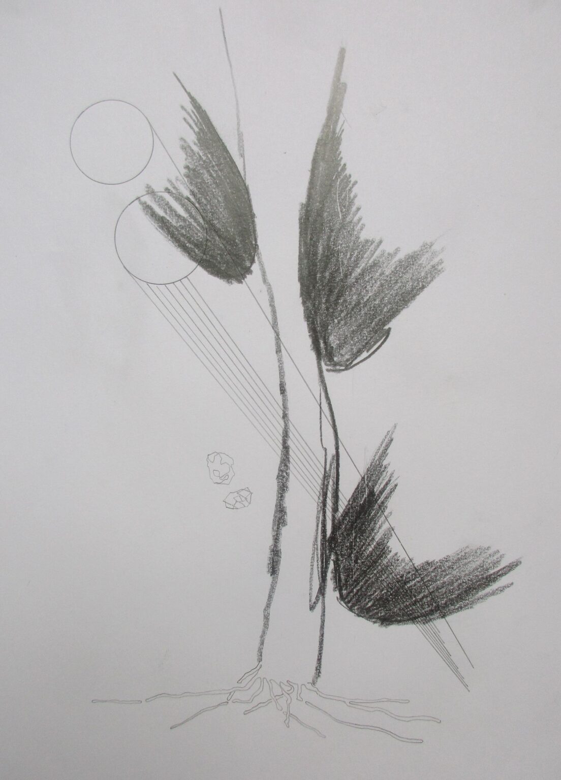 Womens Tree - KLAUS D. ZIMMER 