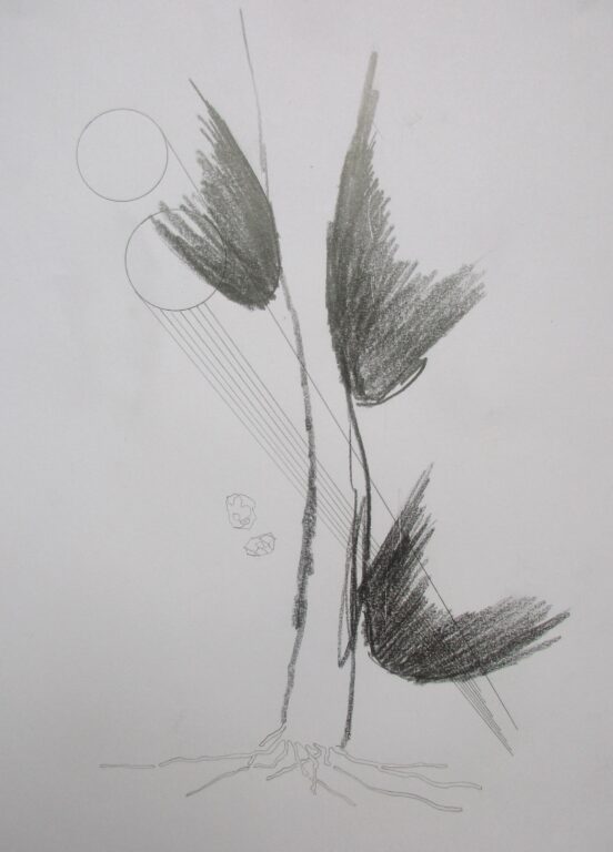 Womens Tree - KLAUS D. ZIMMER 