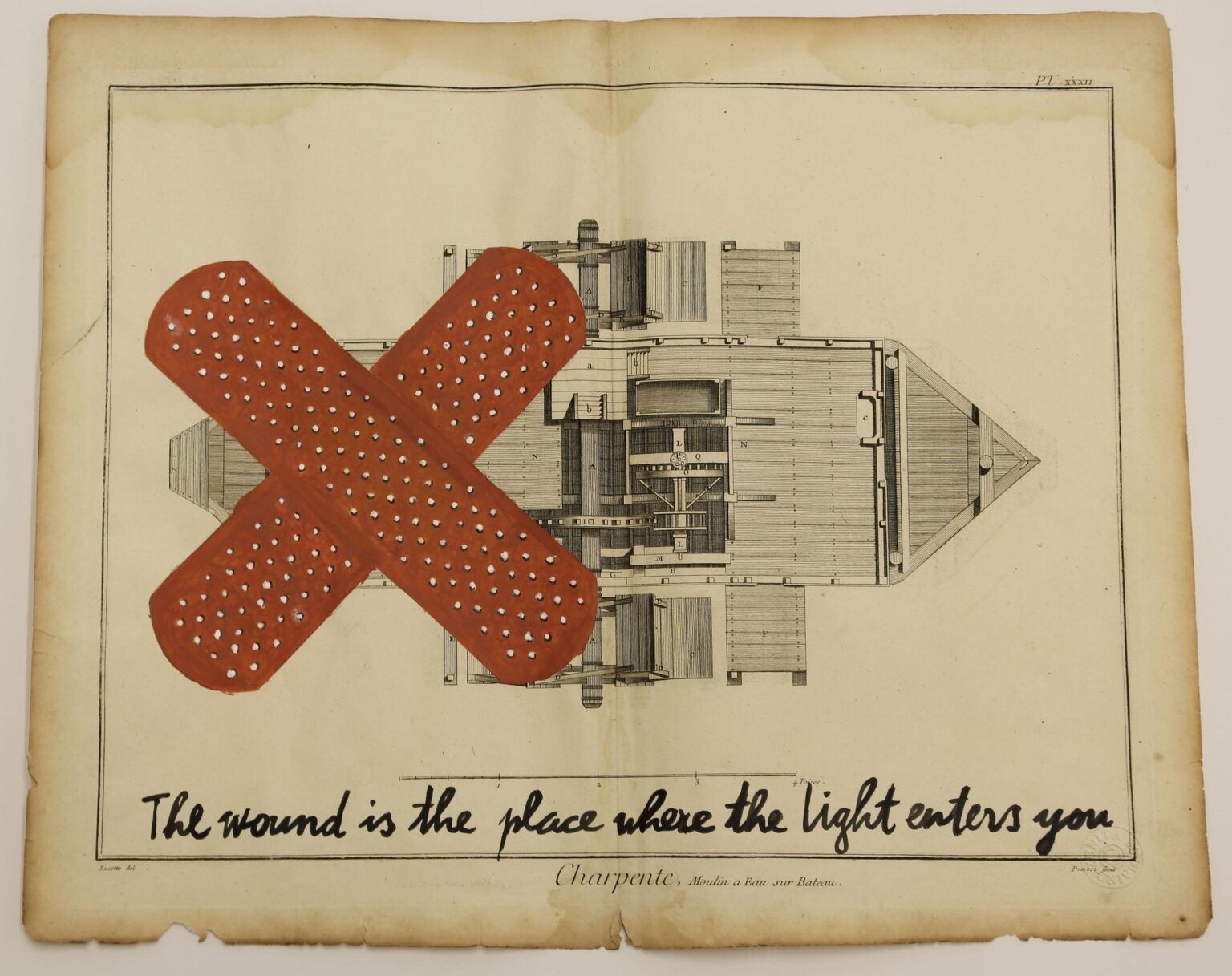 the wound is the place where the light enters you - ZENITA KOMAD 