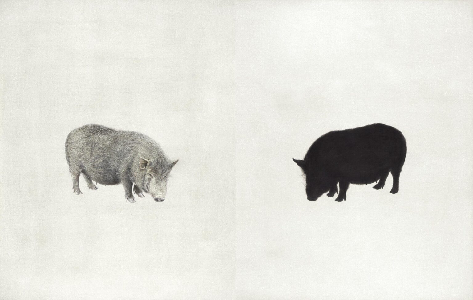 Double (Vladimir) - ALFREDO BARSUGLIA 