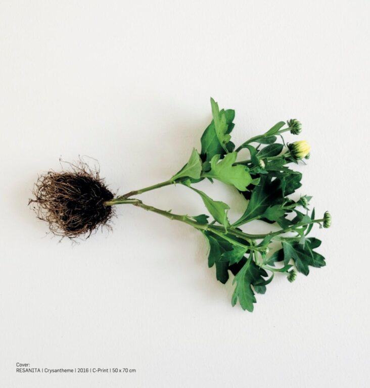 Plants & Politics - RESANITA 