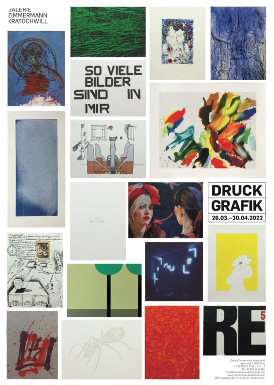 Druckgrafik - BRIGITTE KOWANZ, BRUNO GIRONCOLI, Christian Eisenberger, ELKE KRYSTUFEK, EVA SCHLEGEL, Flora Neuwirth, FRANZ GRAF, FRANZ RINGEL, Gelitin, GERWALD ROCKENSCHAUB, HANS STAUDACHER, HERBERT BRANDL, HERMANN NITSCH, Hubert Scheibl, HUBERT SCHMALIX, Irene, Christine Hohenbüchler, KIKI KOGELNIK, MEL RAMOS, Muntean & Rosenblum, PETER KOGLER, Siggi Hofer, Thomas Feuerstein, VALIE EXPORT, Walter Pichler, XENIA HAUSNER 