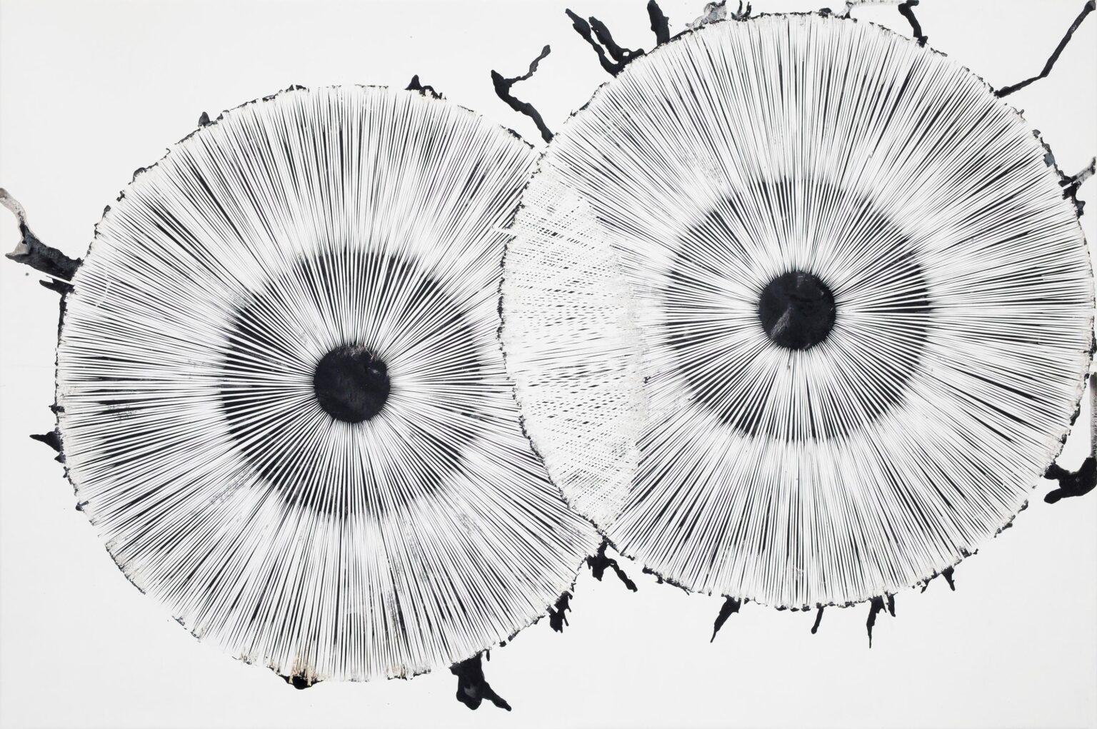 see through II - STEFAN GLETTLER 