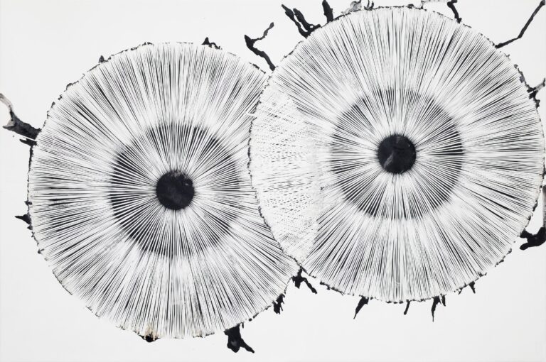 see through II - STEFAN GLETTLER 