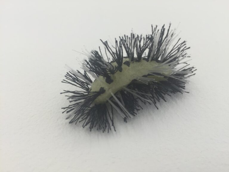 One Caterpillar - JEANNE SILVERTHORNE 