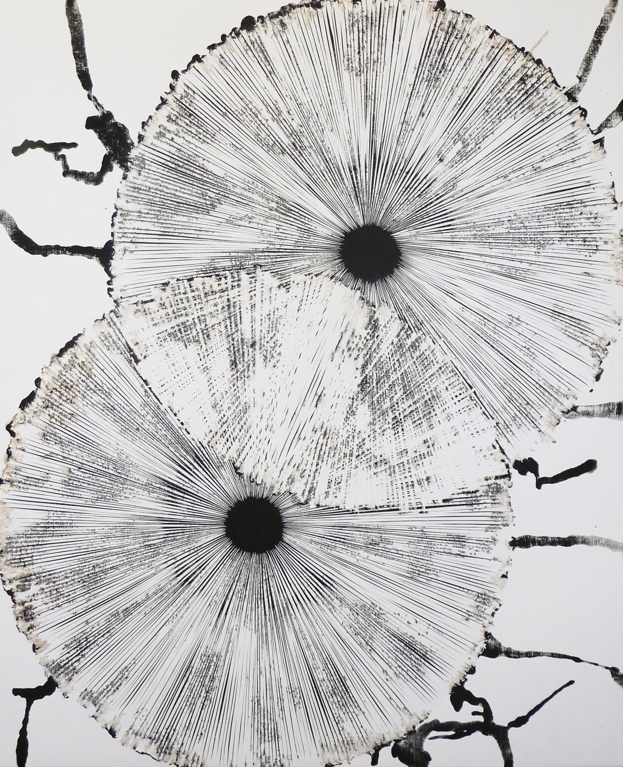 see through IV - STEFAN GLETTLER 