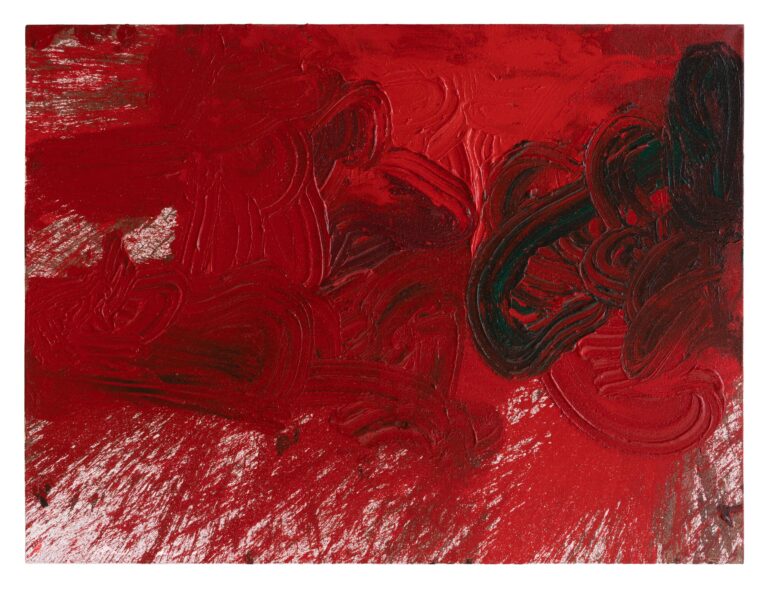 Schüttbild (HF_03_17) - HERMANN NITSCH 