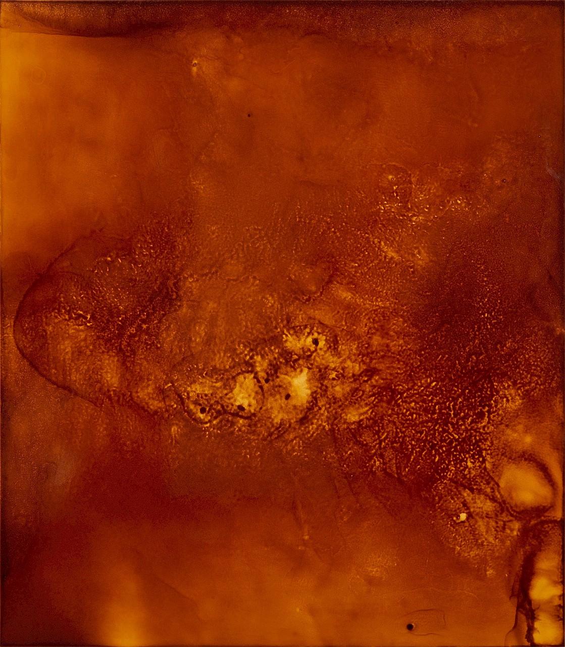 ohne Titel (deep field) - STEFAN GLETTLER 
