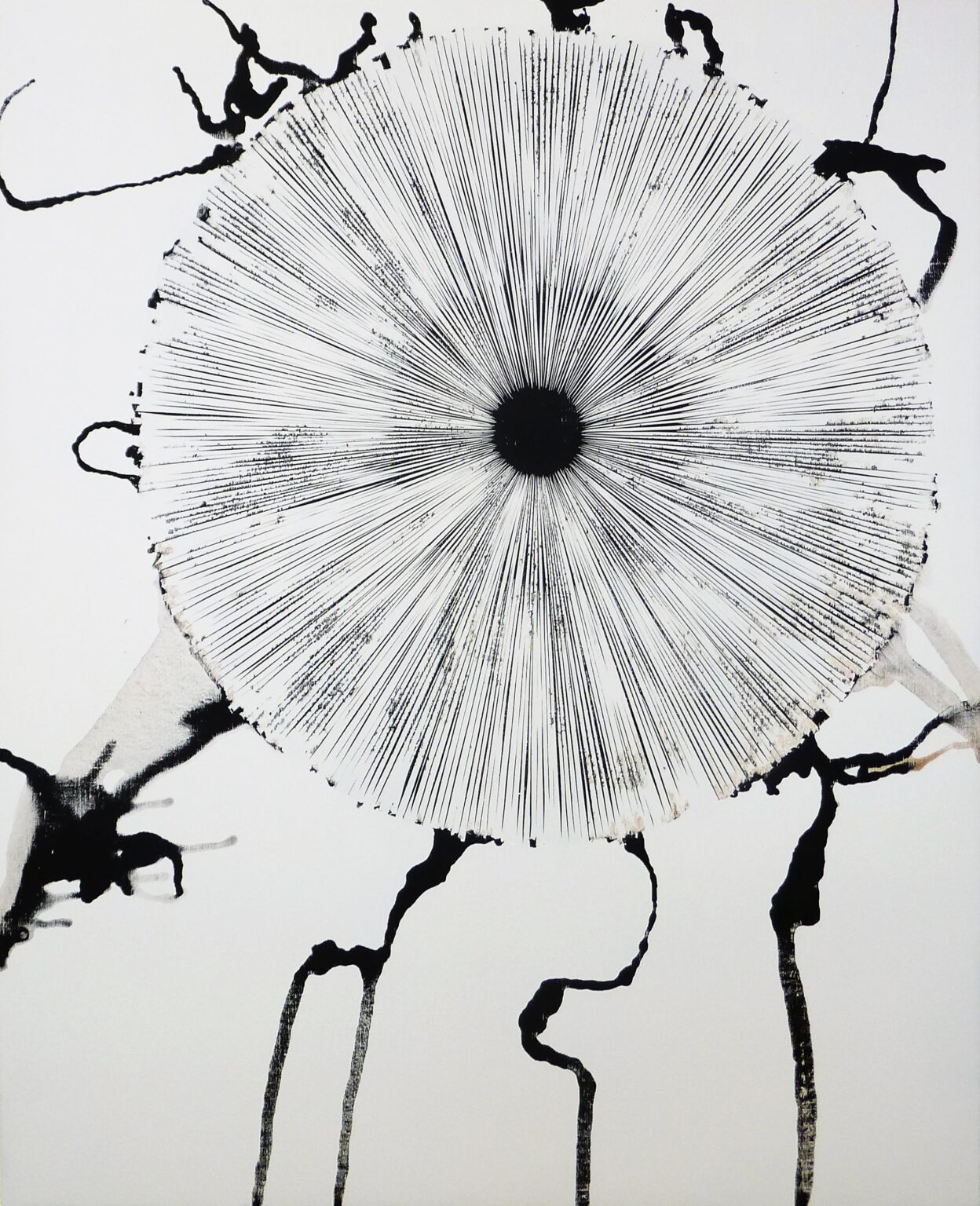 focussed VII - STEFAN GLETTLER 
